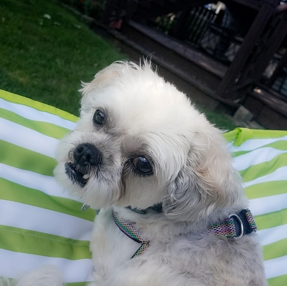 Meet your Posher, Mayra - Picture 1 of 1